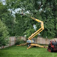 Best Emergency Tree Removal  in Fulshear, TX